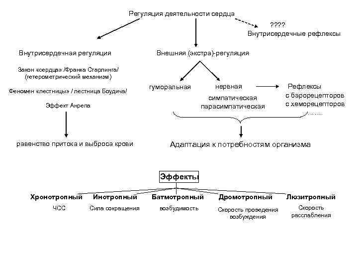 Физиология в схемах и в таблицах и схемах