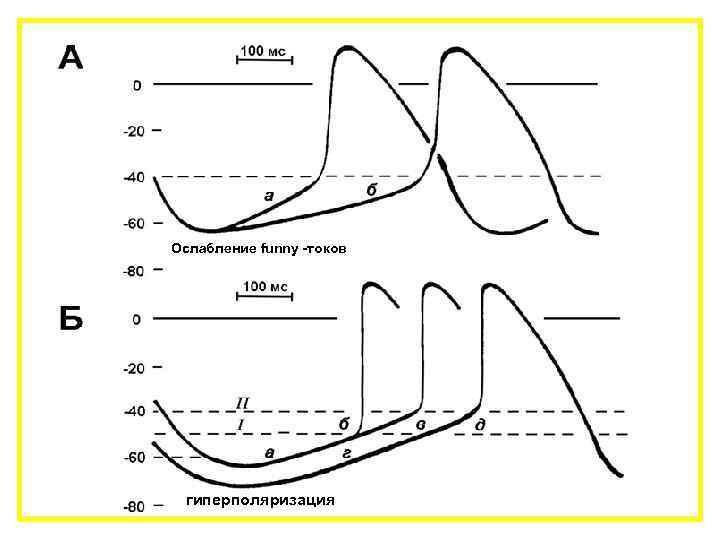 Ослабление funny -токов гиперполяризация 