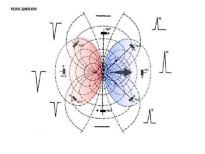 ПОЛЕ ДИПОЛЯ 
