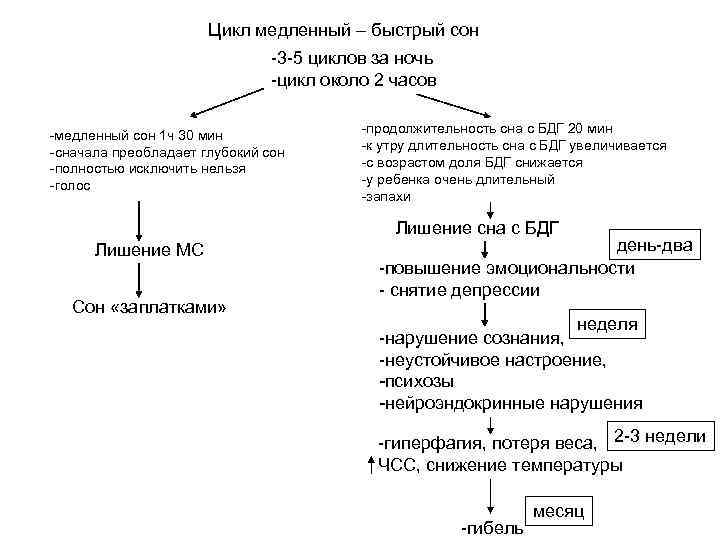 Цикл медленный – быстрый сон -3 -5 циклов за ночь -цикл около 2 часов