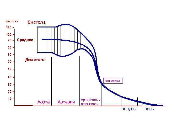 мм рт. ст. Систола 120 100 90 - Среднее - 80 70 60 -