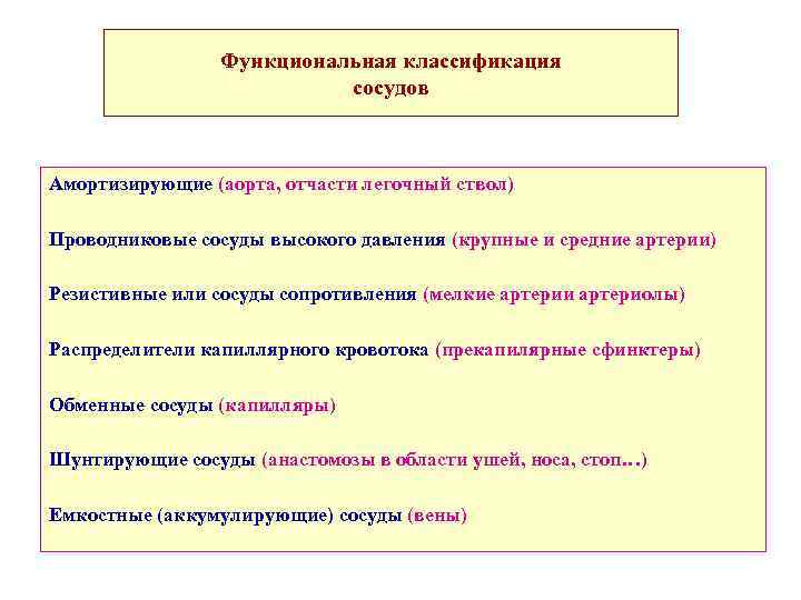 Функциональная классификация сосудов Амортизирующие (аорта, отчасти легочный ствол) Проводниковые сосуды высокого давления (крупные и