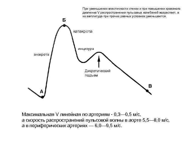 Пульсовое давление тест. Анакрота катакрота инцизура. Пульсовая волна график. Скорость распространения пульсовой волны. Форма пульсовой волны.