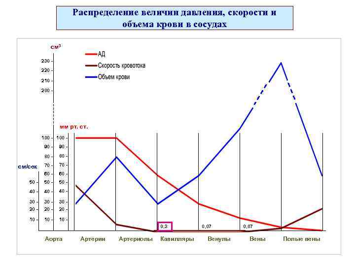 Распределение величин давления, скорости и объема крови в сосудах см 3 230 220 210