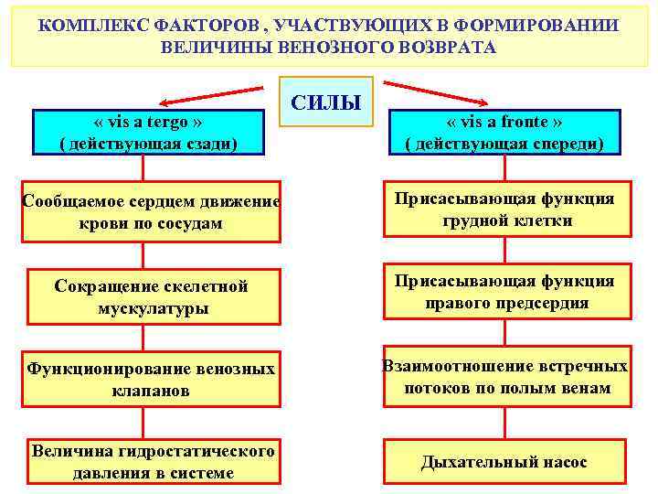 КОМПЛЕКС ФАКТОРОВ , УЧАСТВУЮЩИХ В ФОРМИРОВАНИИ ВЕЛИЧИНЫ ВЕНОЗНОГО ВОЗВРАТА « vis a tergo »