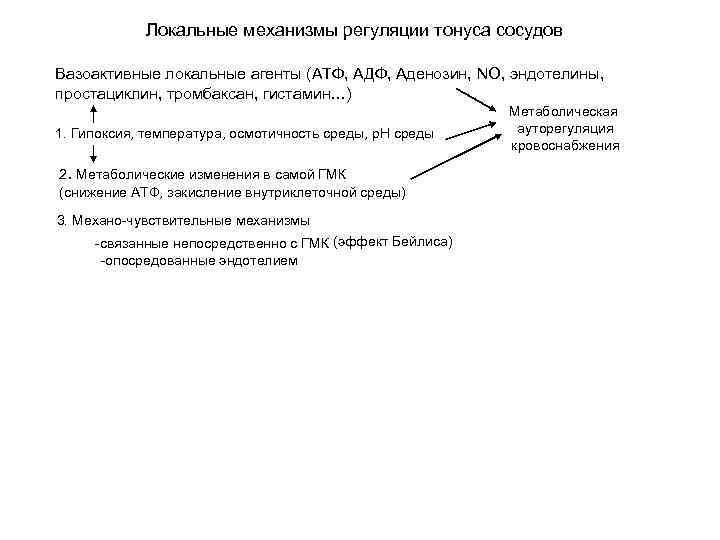 Локальные механизмы регуляции тонуса сосудов Вазоактивные локальные агенты (АТФ, АДФ, Аденозин, NO, эндотелины, простациклин,