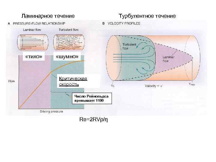 Ламинарное течение