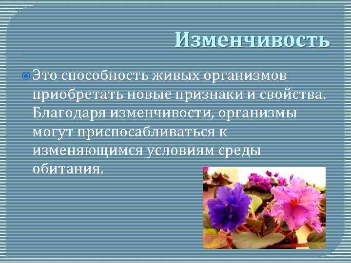 Изменчивость Это способность живых организмов приобретать новые признаки и свойства. Благодаря изменчивости, организмы могут