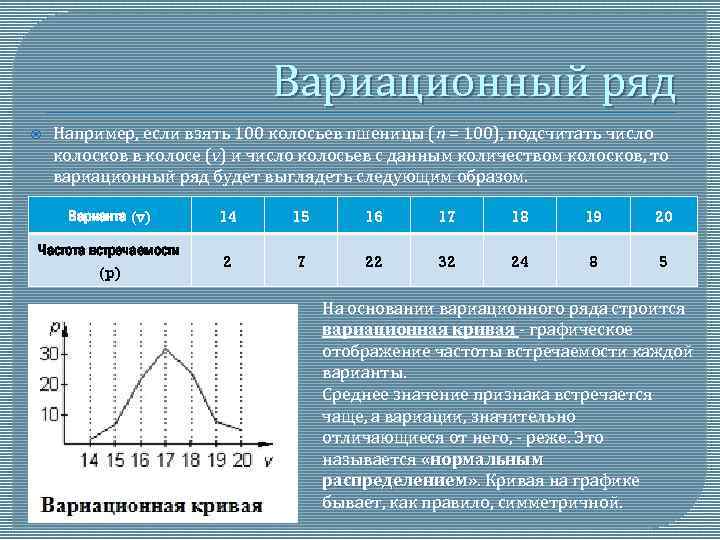 Вариационный ряд Например, если взять 100 колосьев пшеницы (n = 100), подсчитать число колосков