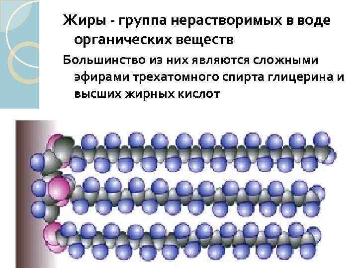 Жиры - группа нерастворимых в воде органических веществ Большинство из них являются сложными эфирами