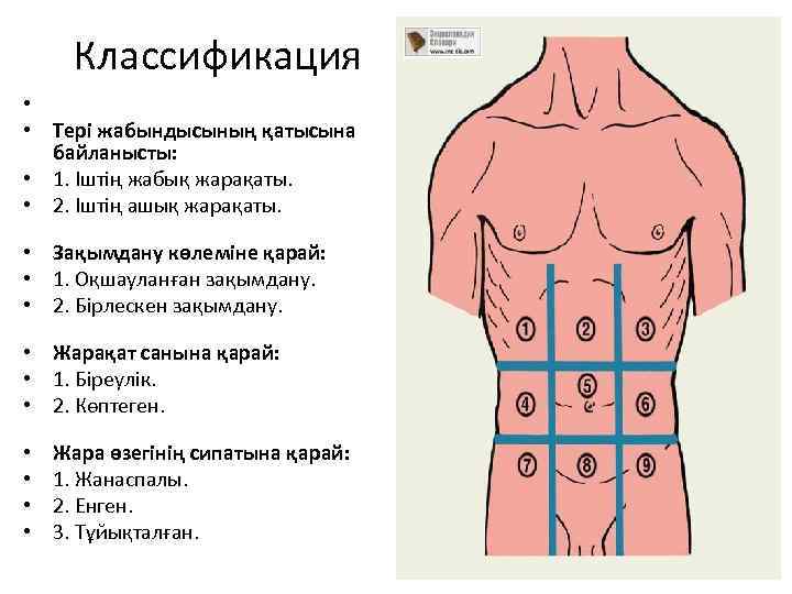 Классификация • • Тері жабындысының қатысына байланысты: • 1. Іштің жабық жарақаты. • 2.