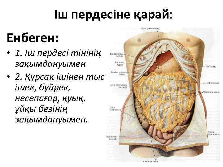Іш пердесіне қарай: Енбеген: • 1. Іш пердесі тінінің зақымдануымен • 2. Құрсақ ішінен