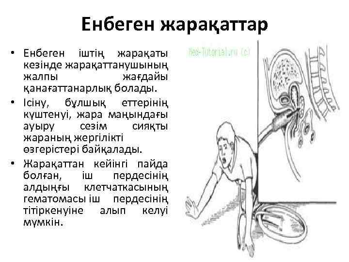 Енбеген жарақаттар • Енбеген іштің жарақаты кезінде жарақаттанушының жалпы жағдайы қанағаттанарлық болады. • Ісіну,