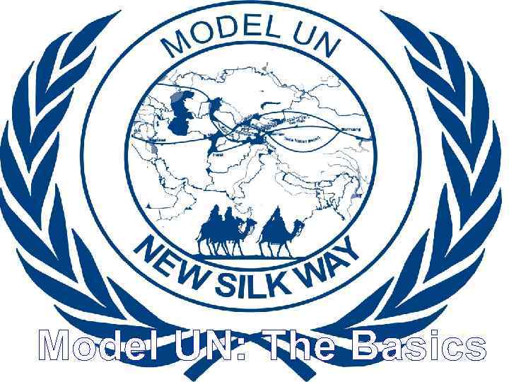 Model UN: The Basics 