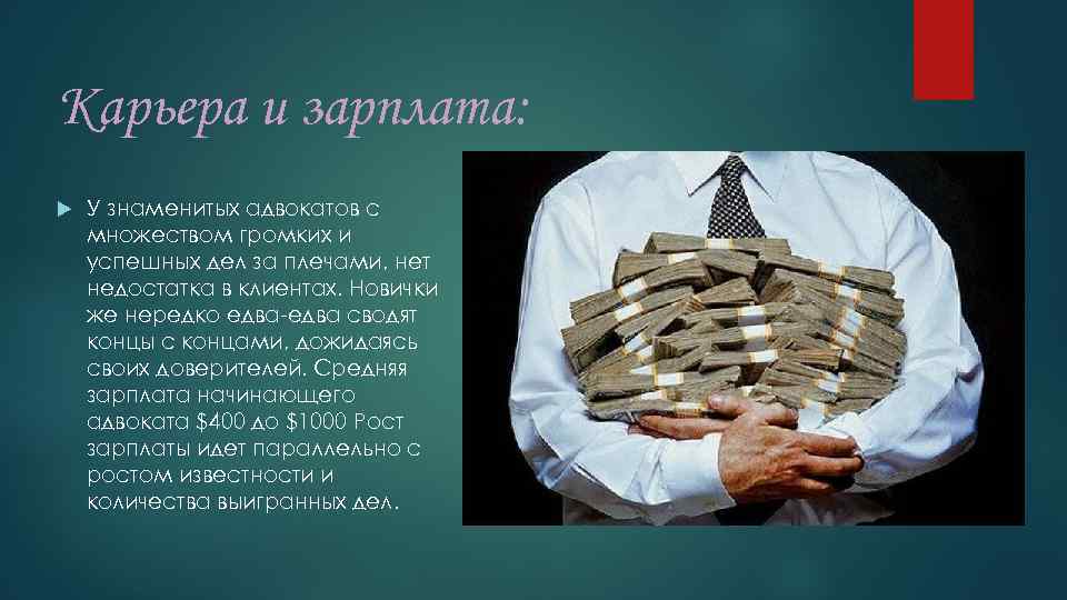 Карьера и зарплата: У знаменитых адвокатов с множеством громких и успешных дел за плечами,