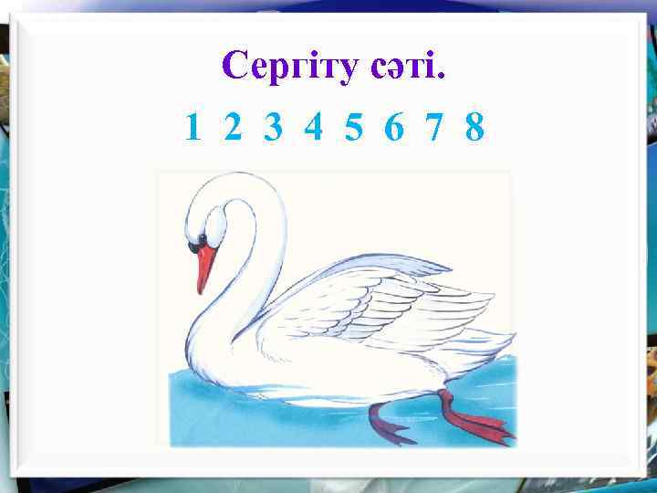 Сергіту сәті. 1 2 3 4 5 6 7 8 