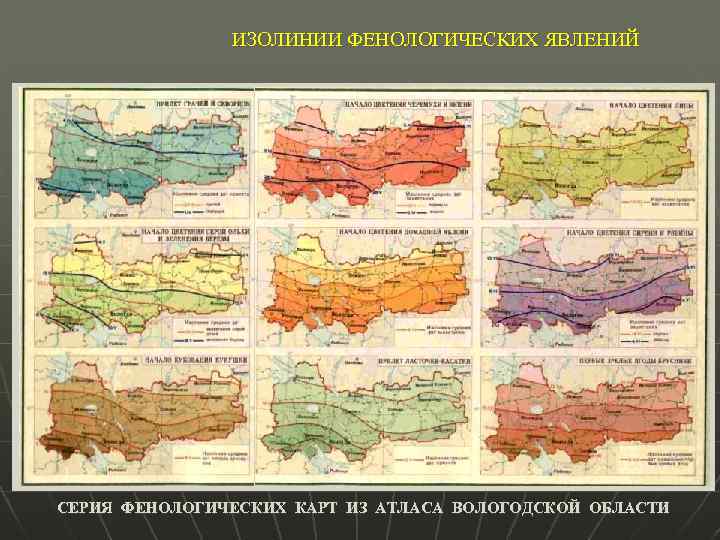 ИЗОЛИНИИ ФЕНОЛОГИЧЕСКИХ ЯВЛЕНИЙ СЕРИЯ ФЕНОЛОГИЧЕСКИХ КАРТ ИЗ АТЛАСА ВОЛОГОДСКОЙ ОБЛАСТИ 