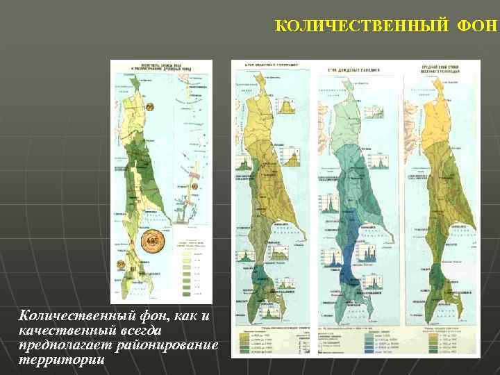КОЛИЧЕСТВЕННЫЙ ФОН Количественный фон, как и качественный всегда предполагает районирование территории 