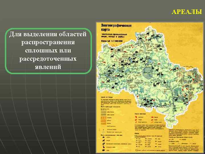 АРЕАЛЫ Для выделения областей распространения сплошных или рассредоточенных явлений 