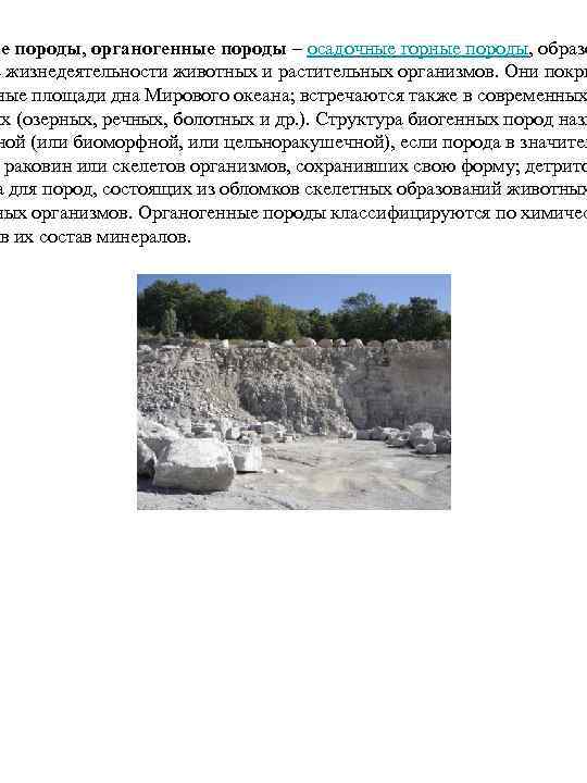 ые породы, органогенные породы – осадочные горные породы, образо е жизнедеятельности животных и растительных