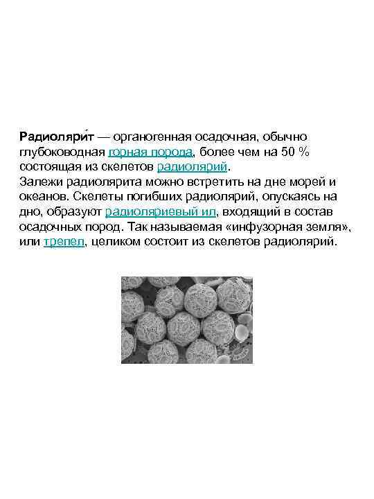 Радиоляри т — органогенная осадочная, обычно глубоководная горная порода, более чем на 50 %