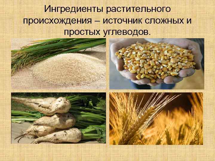 Ингредиенты растительного происхождения – источник сложных и простых углеводов. 
