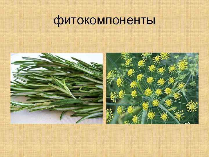 фитокомпоненты 