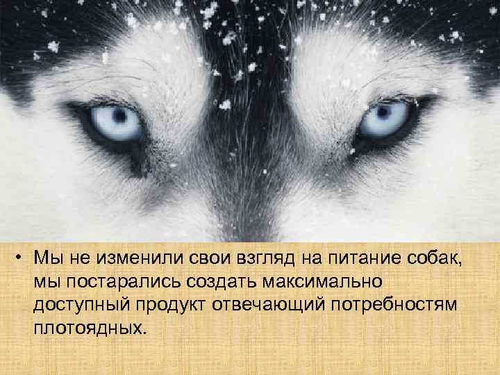  • Мы не изменили свои взгляд на питание собак, мы постарались создать максимально