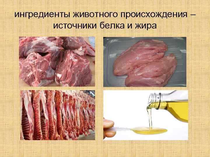 ингредиенты животного происхождения – источники белка и жира 