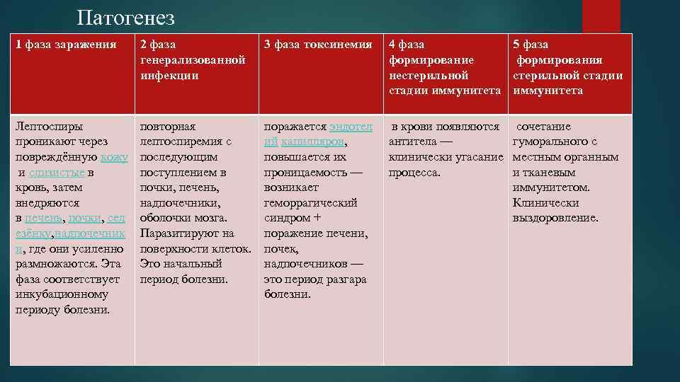 Патогенез 1 фаза заражения 2 фаза генерализованной инфекции 3 фаза токсинемия 4 фаза формирование