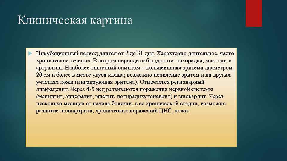 Клиническая картина Инкубационный период длится от 2 до 31 дня. Характерно длительное, часто хроническое