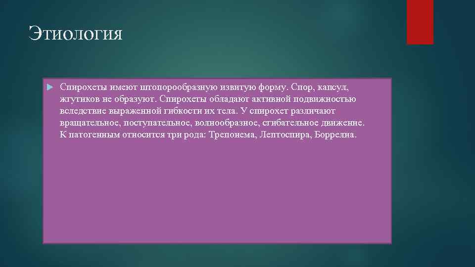 Этиология Спирохеты имеют штопорообразную извитую форму. Спор, капсул, жгутиков не образуют. Спирохеты обладают активной