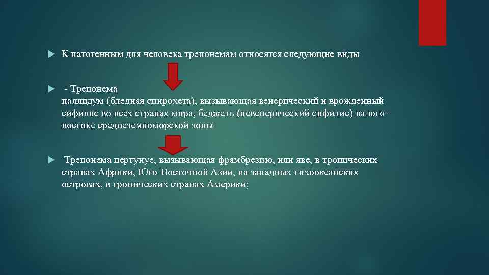  К патогенным для человека трепонемам относятся следующие виды - Трепонема паллидум (бледная спирохета),