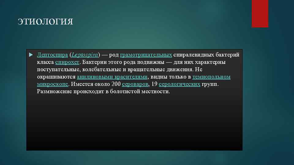 этиология Лептоспира (Leptospira) — род грамотрицательных спиралевидных бактерий класса спирохет. Бактерии этого рода подвижны
