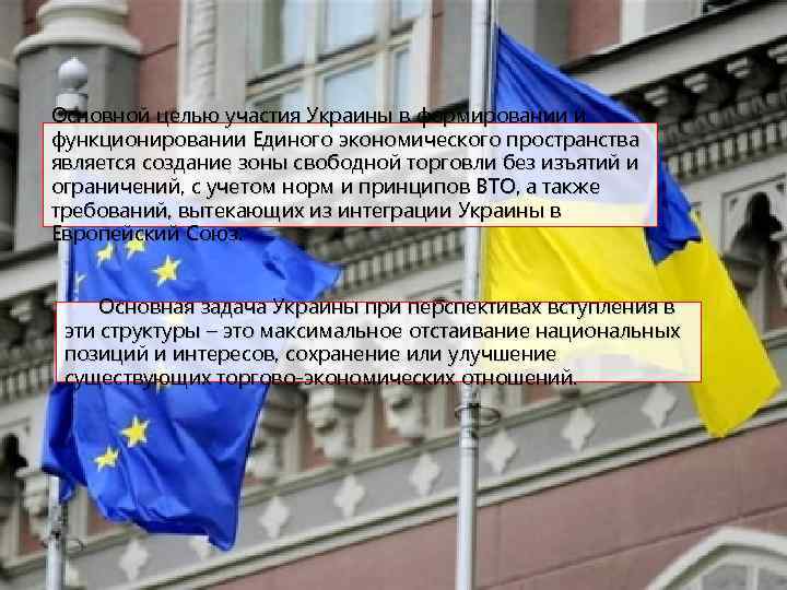 Основной целью участия Украины в формировании и функционировании Единого экономического пространства является создание зоны