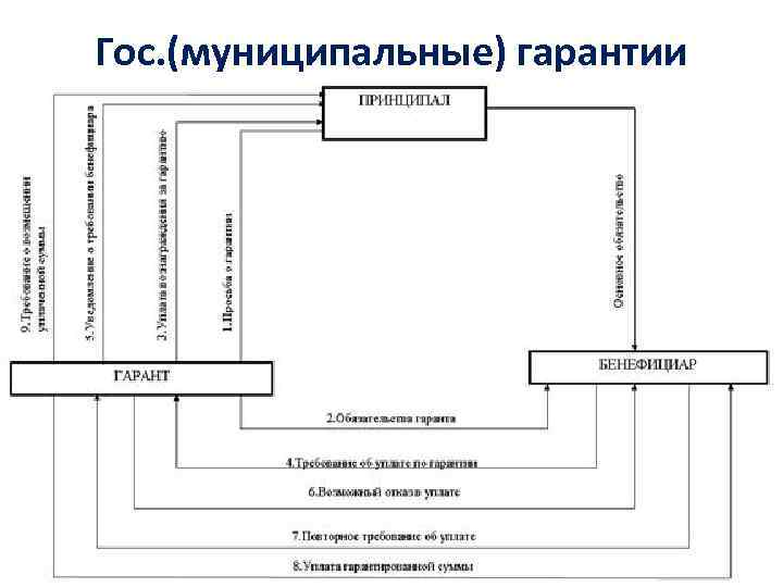 Гос. (муниципальные) гарантии 