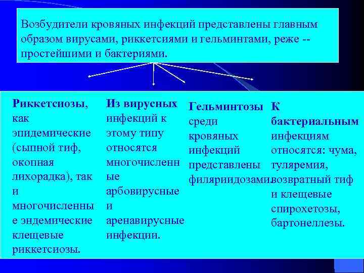 Возбудители кровяных инфекций представлены главным образом вирусами, риккетсиями и гельминтами, реже -- простейшими и