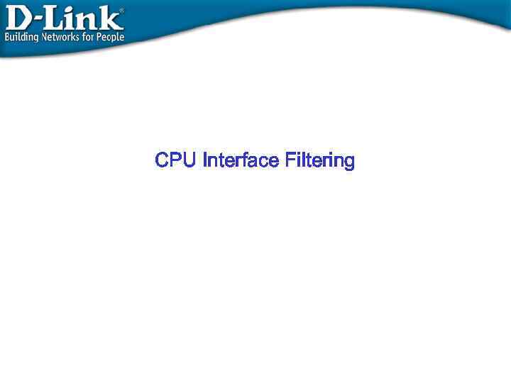  CPU Interface Filtering 