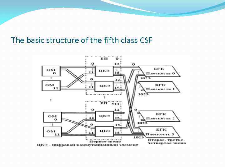 The basic structure of the fifth class CSF 