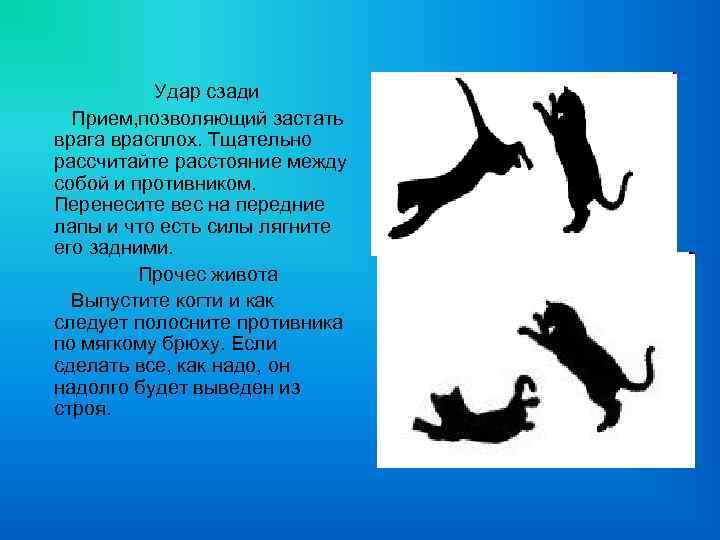 Удар сзади Прием, позволяющий застать врага врасплох. Тщательно рассчитайте расстояние между собой и противником.