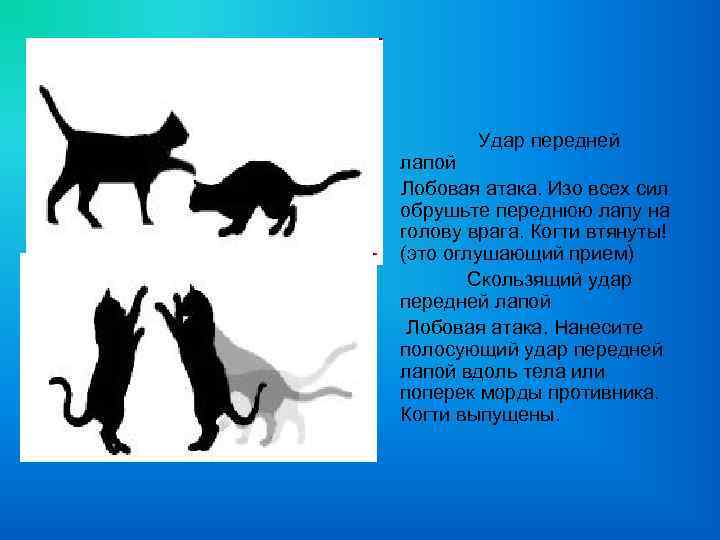 Удар передней лапой Лобовая атака. Изо всех сил обрушьте переднюю лапу на голову врага.