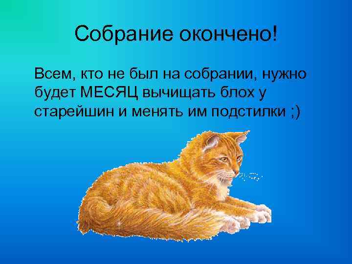 Собрание окончено! Всем, кто не был на собрании, нужно будет МЕСЯЦ вычищать блох у