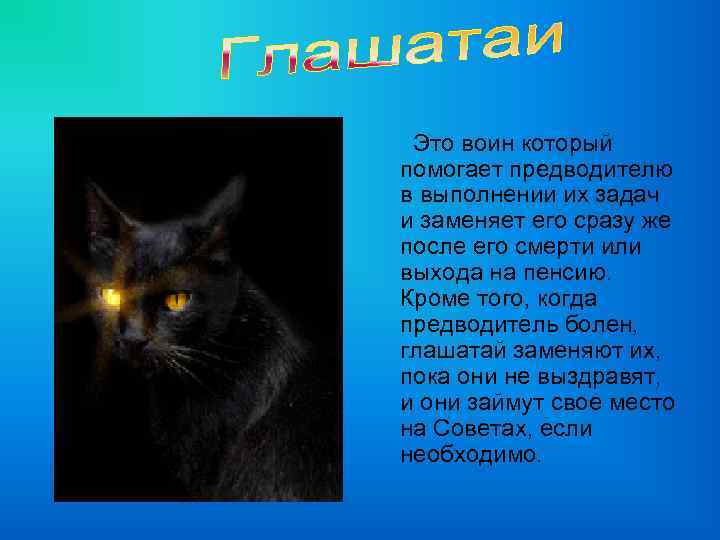 Это воин который помогает предводителю в выполнении их задач и заменяет его сразу же