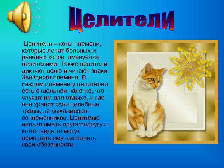 Целители – коты племени, которые лечат больных и раненых котов, именуются целителями. Также целители