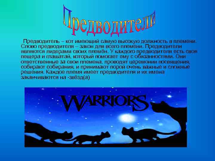Предводитель – кот имеющий самую высокую должность в племени. Слово предводителя – закон для