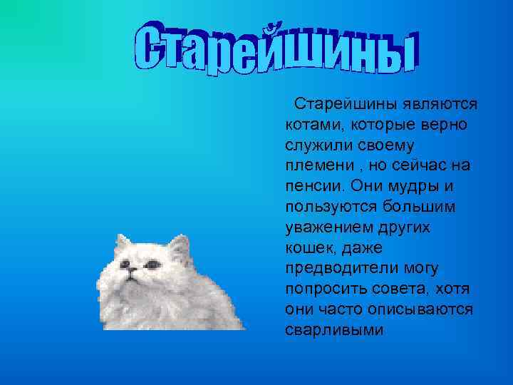 Старейшины являются котами, которые верно служили своему племени , но сейчас на пенсии. Они