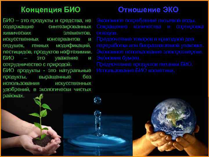 Концепция БИО – это продукты и средства, не содержащие синтезированных химических элементов, искусственных консервантов