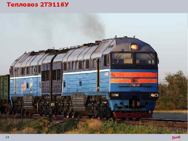 Тепловоз 2 ТЭ 116 У 19 