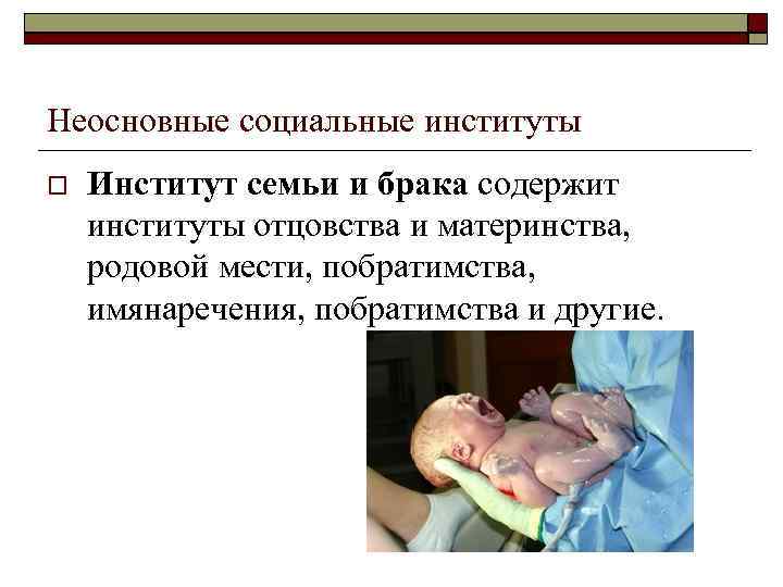 Неосновные социальные институты Институт семьи и брака содержит институты отцовства и материнства, родовой мести,
