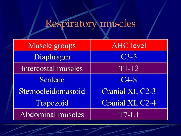 Respiratory muscles Muscle groups Diaphragm Intercostal muscles Scalene Sternocleidomastoid Trapezoid Abdominal muscles AHC level